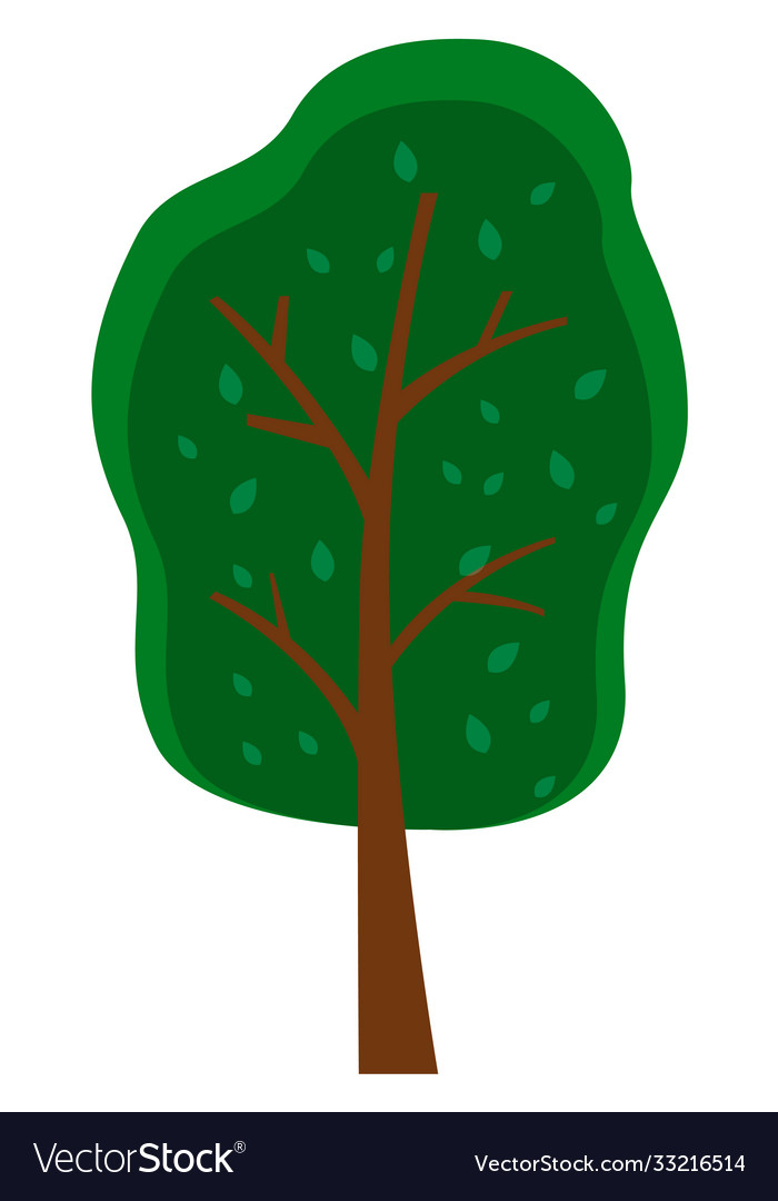 Green bright tree with a lush crown thick brown