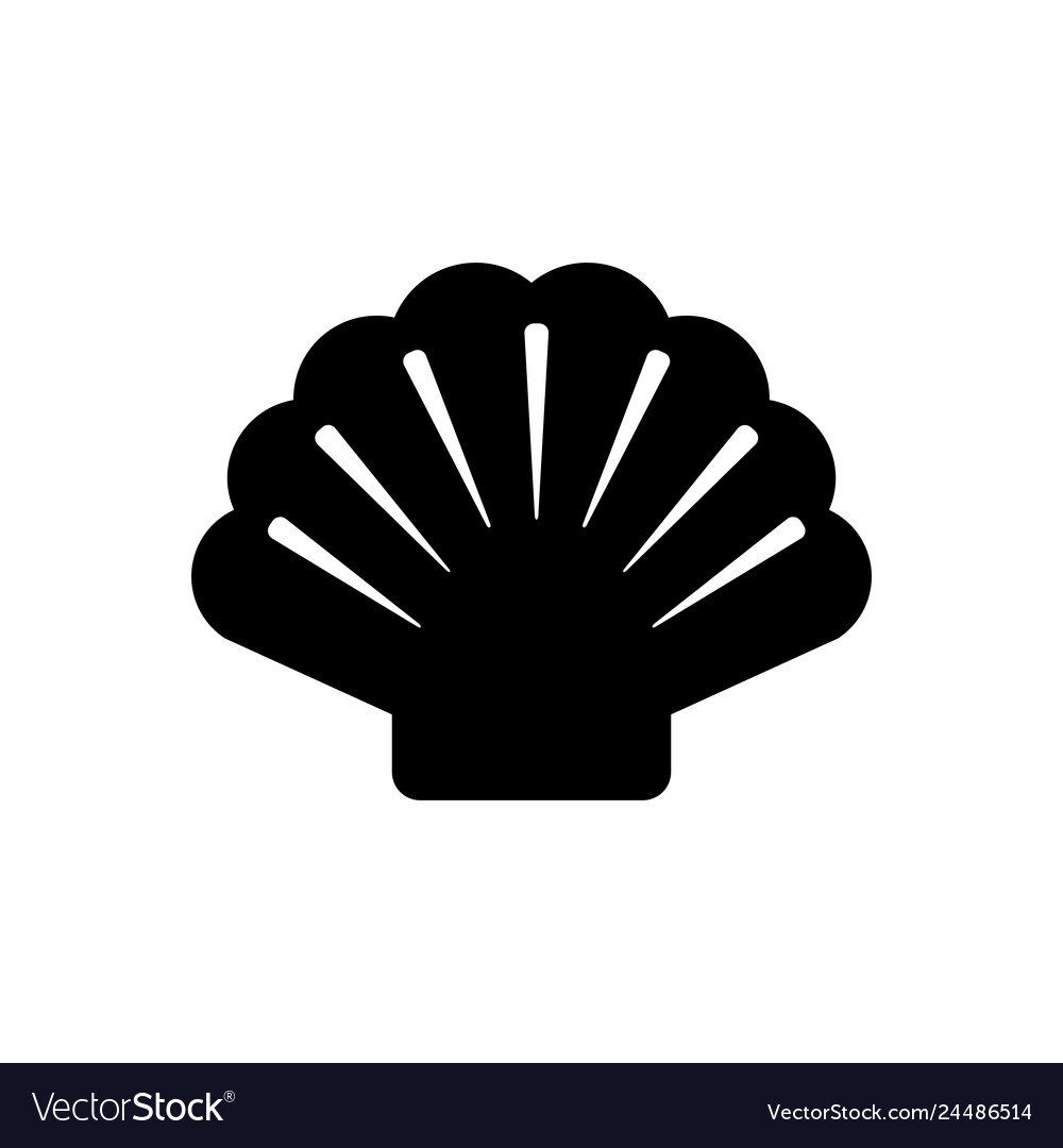Shell and background