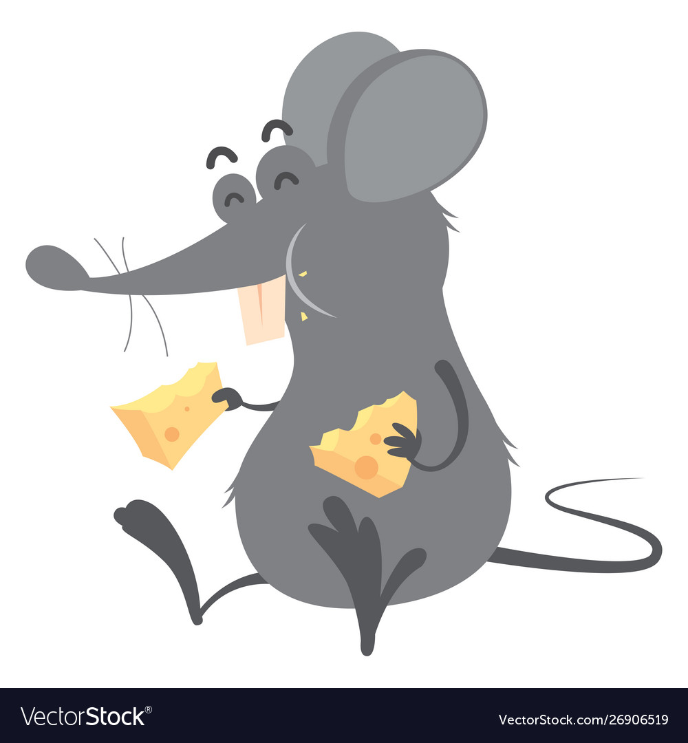 Cute Gray Rat Enjoying Cheese