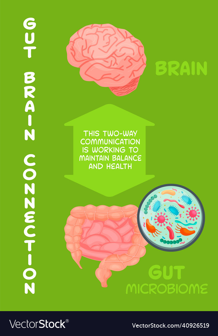 Gut-brain connection medical scientific