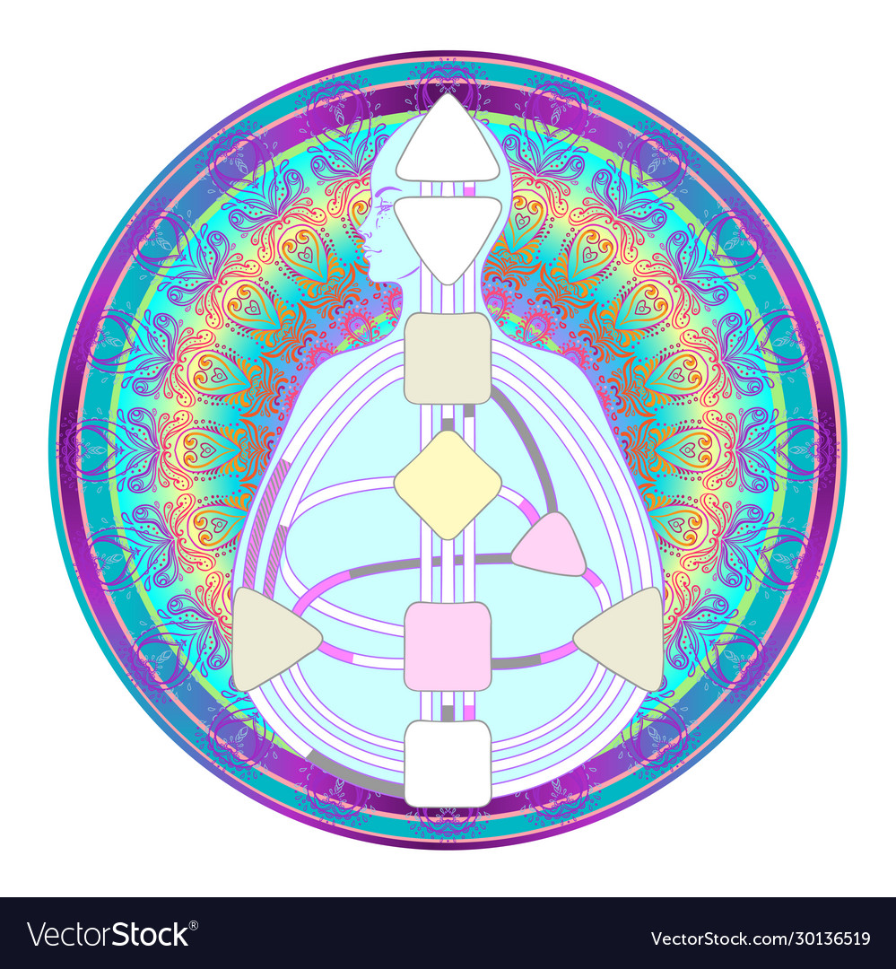 Human design bodygraph chart Royalty Free Vector Image