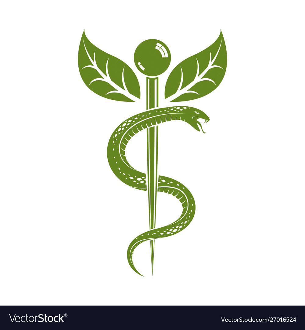 Aesculapius abstract created using snakes vector image Aesculapius abstract created using snakes