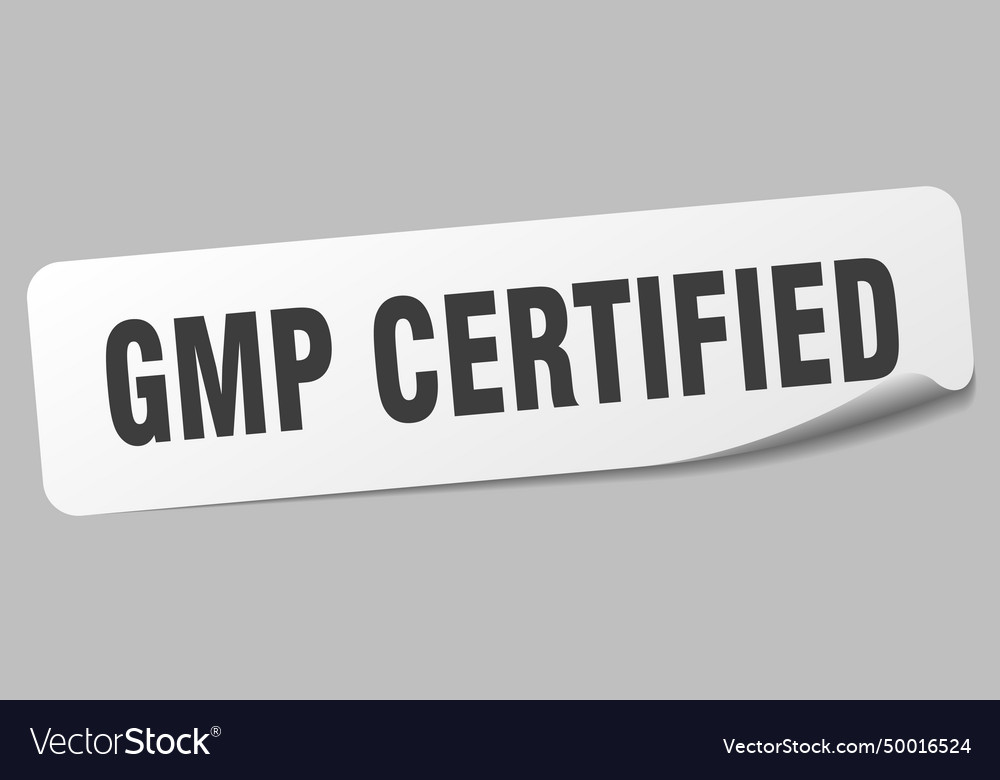 Gmp certified sticker label Royalty Free Vector Image