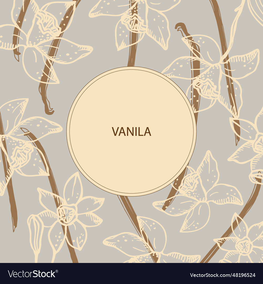 Vanilla label template background for text vector image Vanilla label template background for text