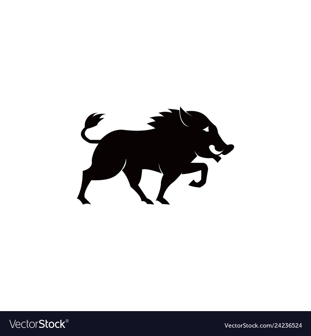 Wild boar