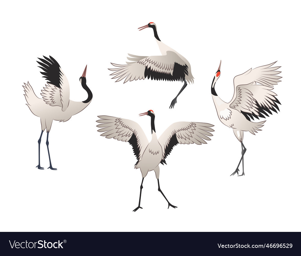 Crane in different poses cartoon set Royalty Free Vector