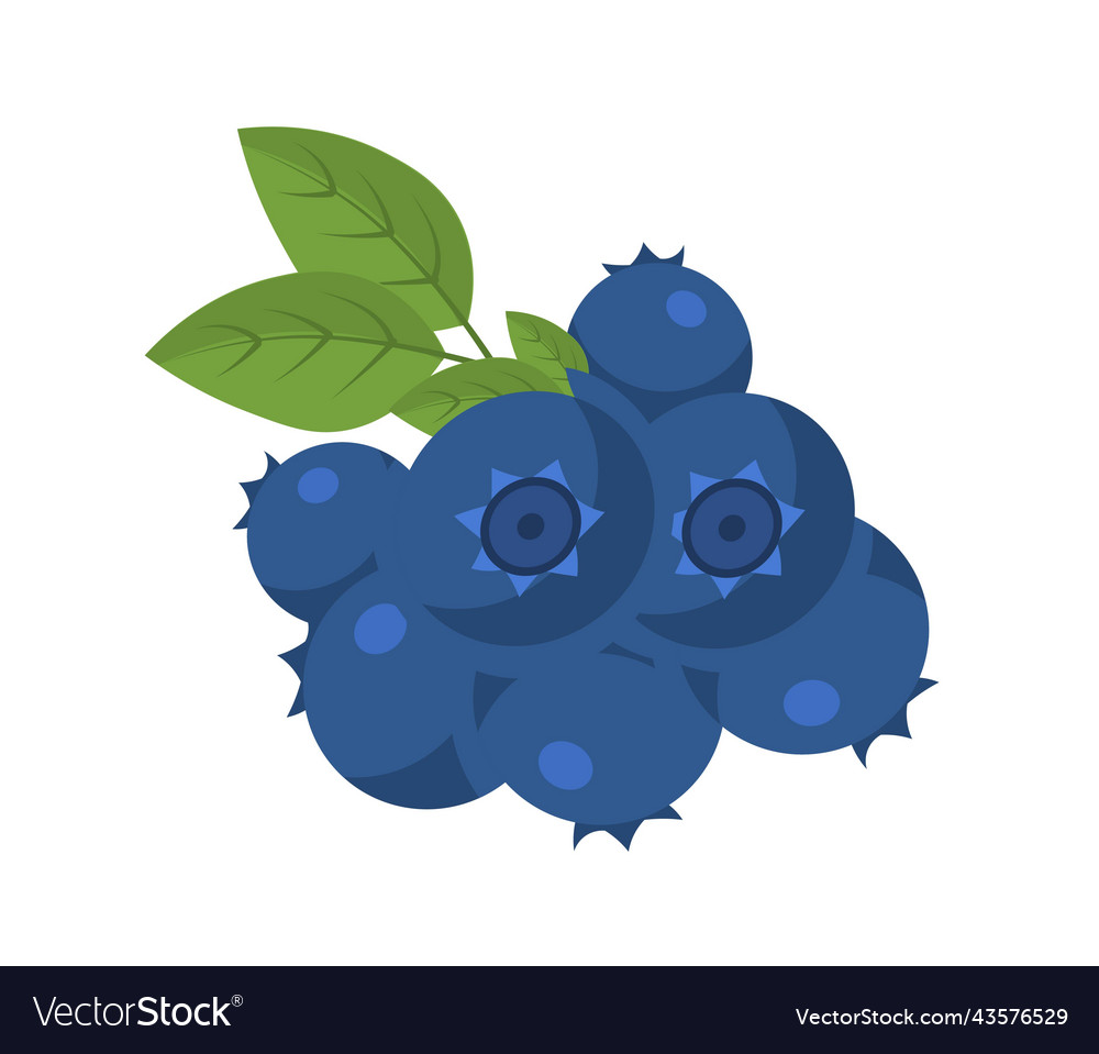 Natural blueberry icon Royalty Free Vector Image