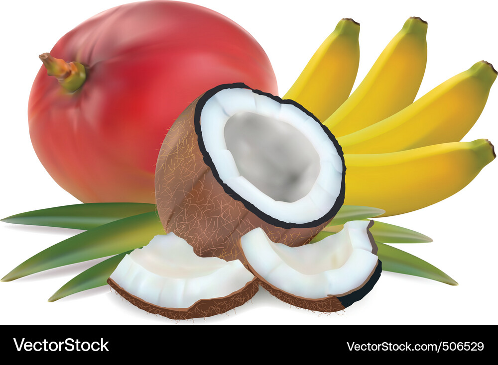 Tropical fruit Royalty Free Vector Image - VectorStock
