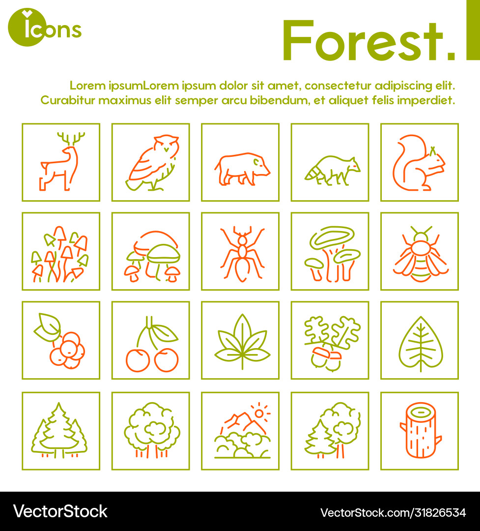 Color linear icon set forest objects Royalty Free Vector