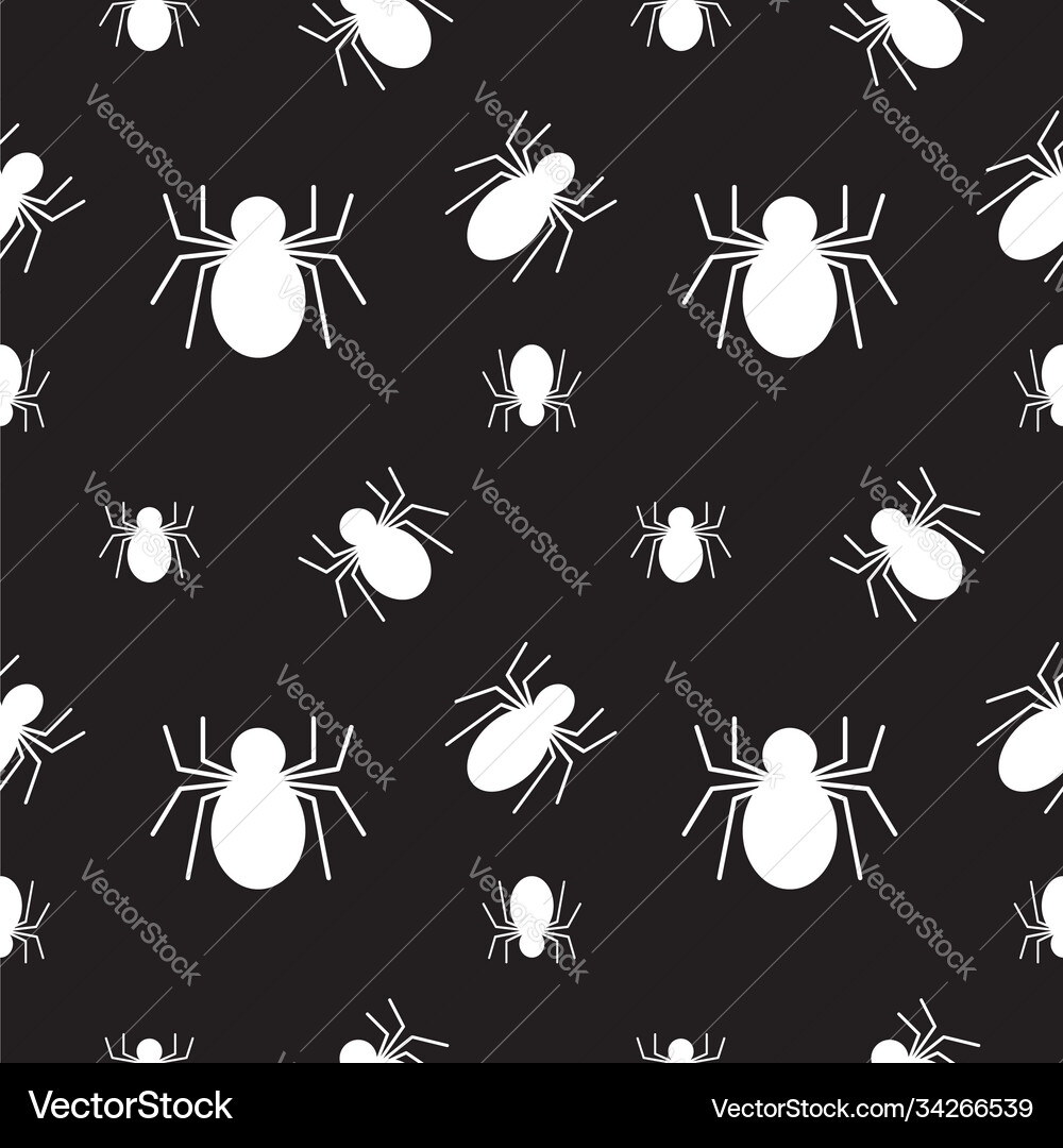 White spider texture on black color background Vector Image