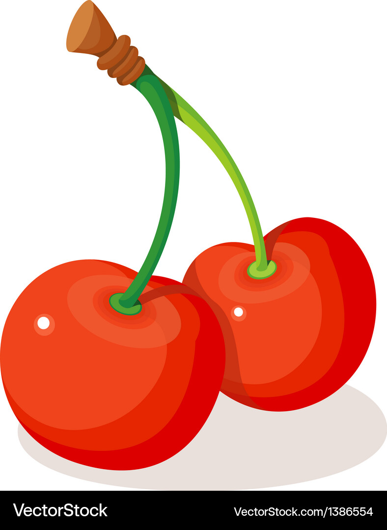 Icon cherry Royalty Free Vector Image - VectorStock