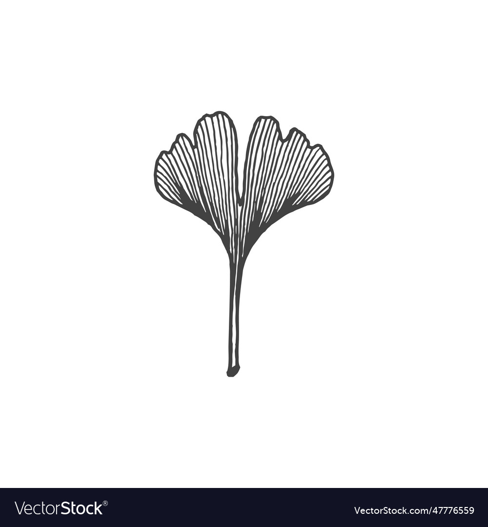 Logo element clipart nature outline tattoo