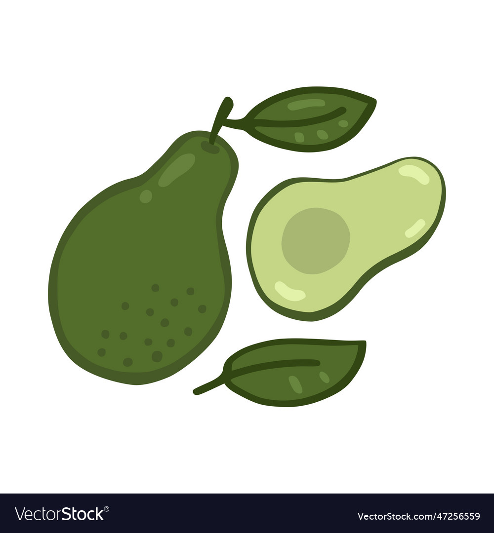 Set of avocado