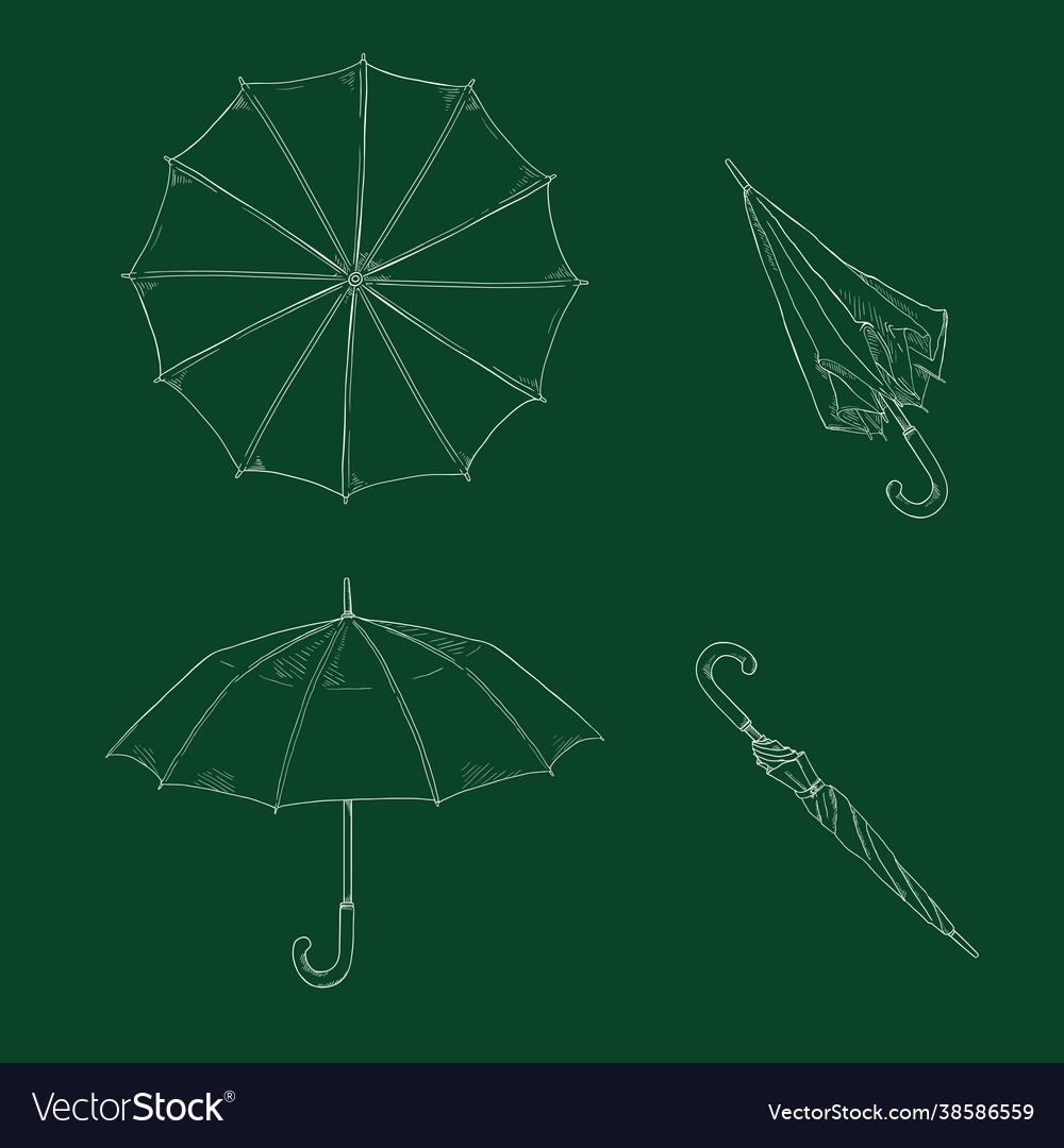 Set sketch umbrellas different view vector image Set sketch umbrellas different view
