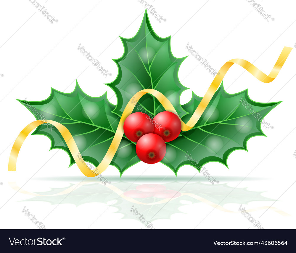 Christmas holly berries stock