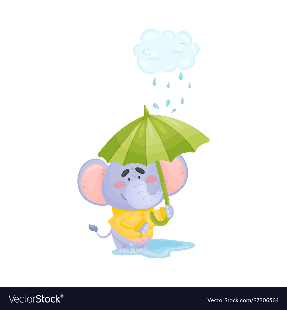 Cute little elephant stands in a puddle