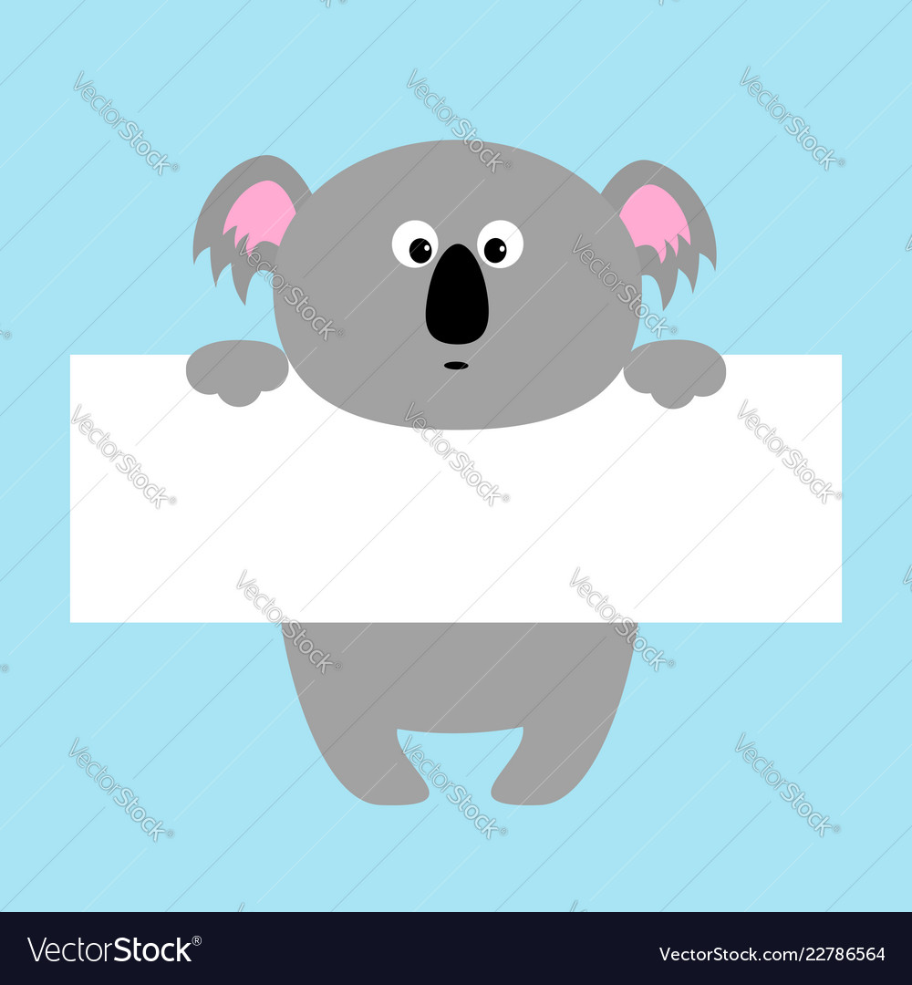 funny koala hanging on paper board template vector image