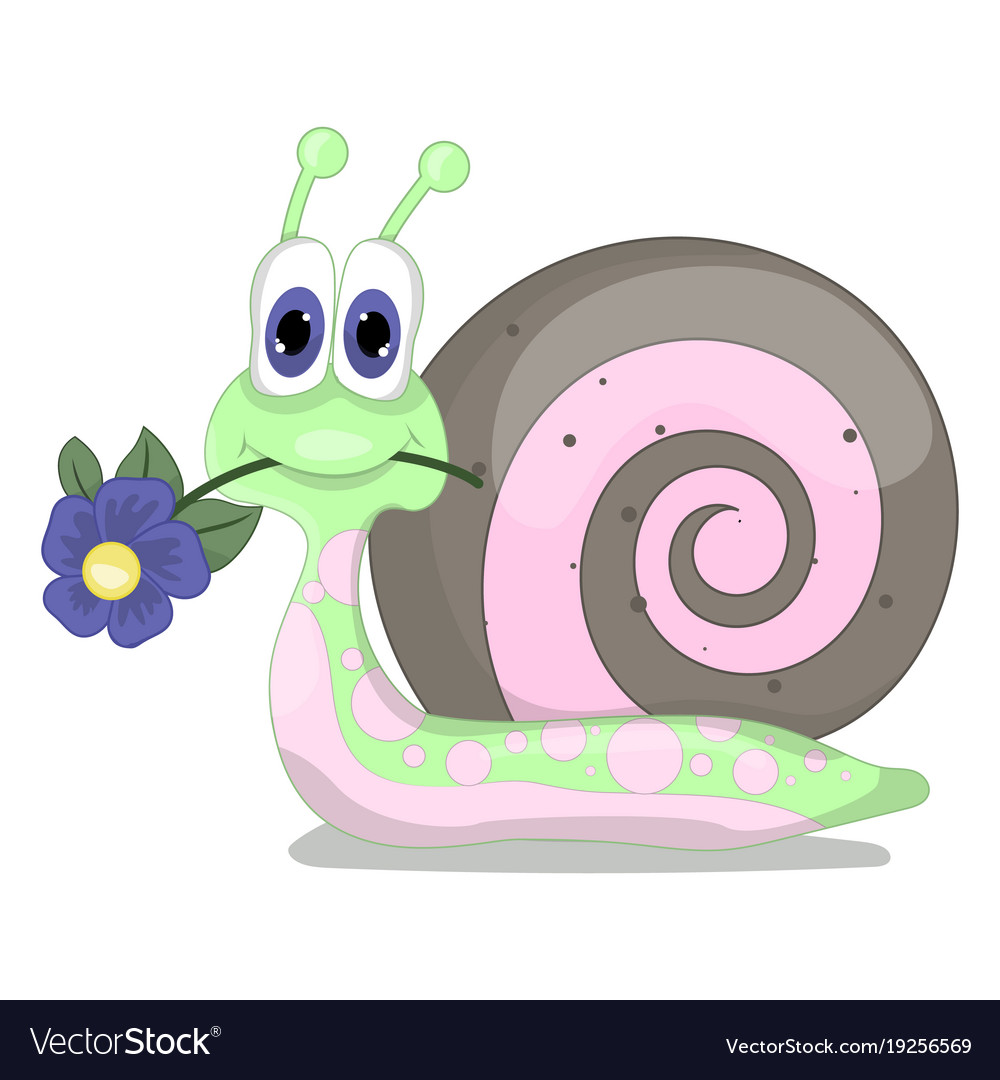 Cute snail isolated on white background