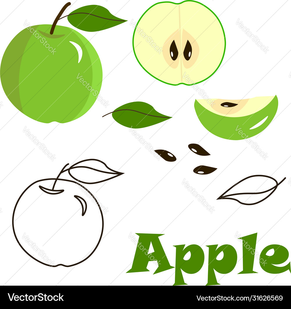 Pattern with apples on white background Royalty Free Vector