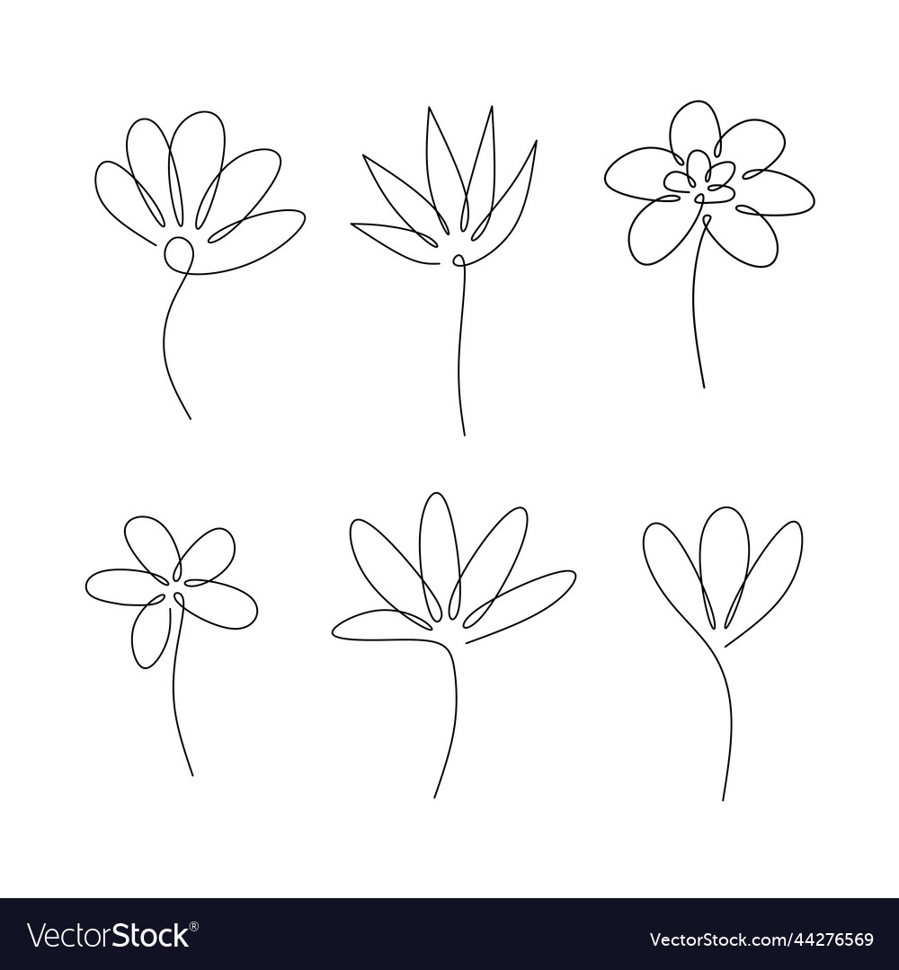 Set flower graphics icon sketch