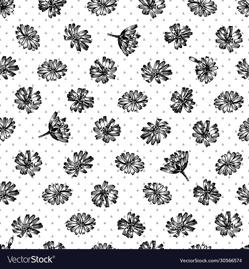 Seamless pattern with realistic botanical black vector image Seamless pattern with realistic botanical black