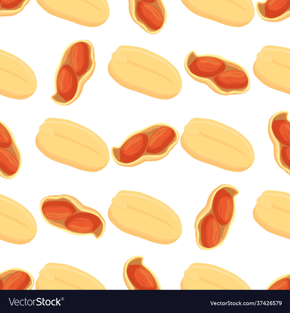 On theme big pattern identical types peanut vector image On theme big pattern identical types peanut
