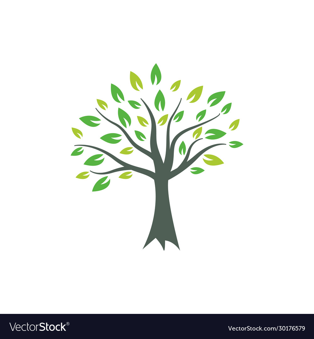 Tree graphic design template isolated