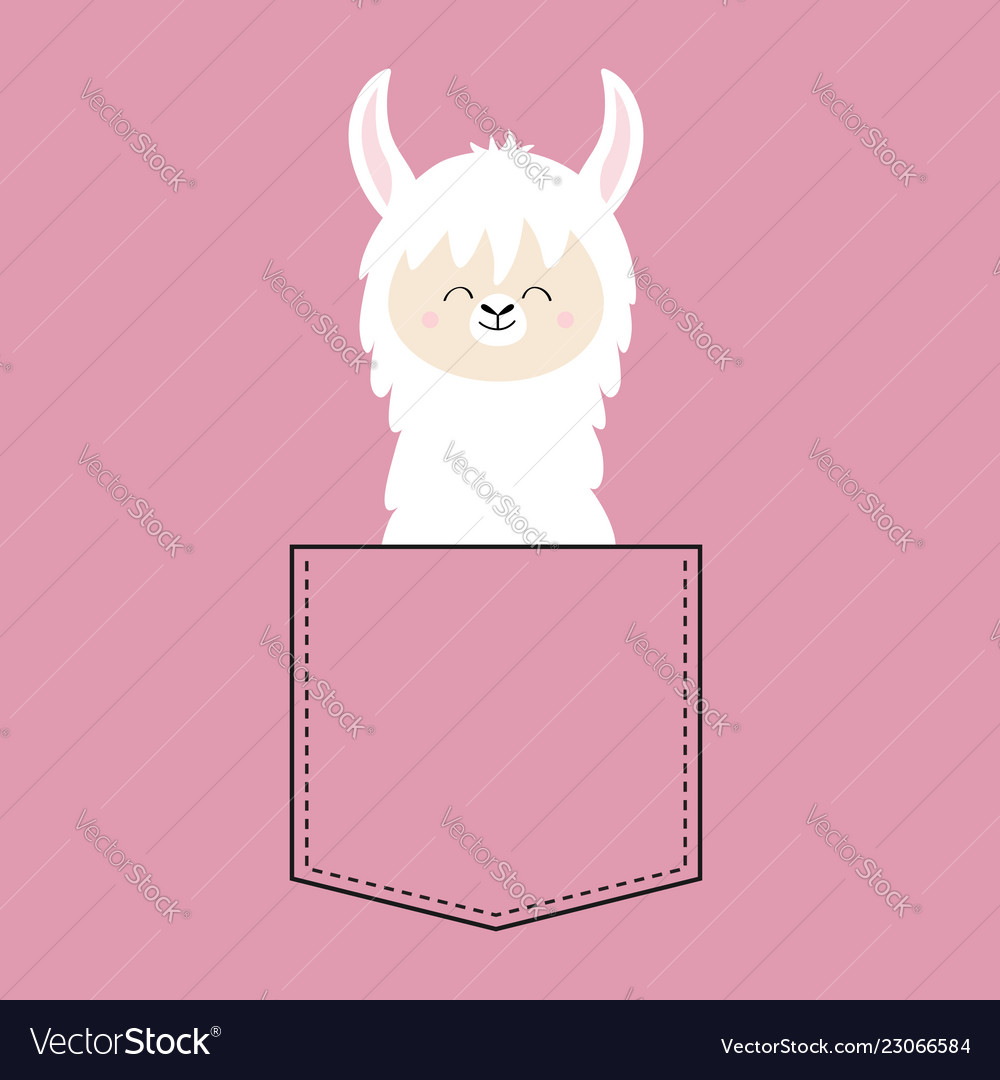 Alpaca in Tasche T-Shirt