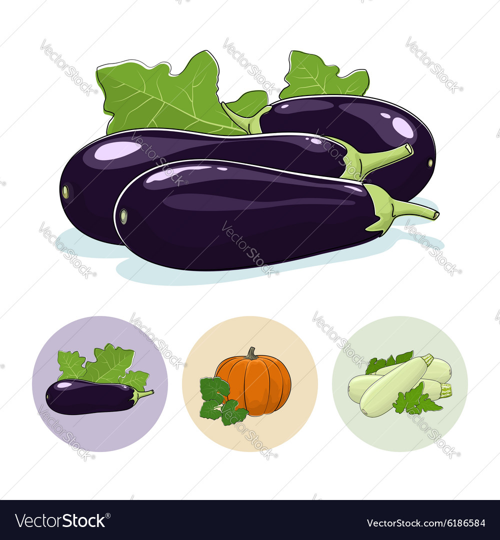 Icons eggplant pumpkin zucchini