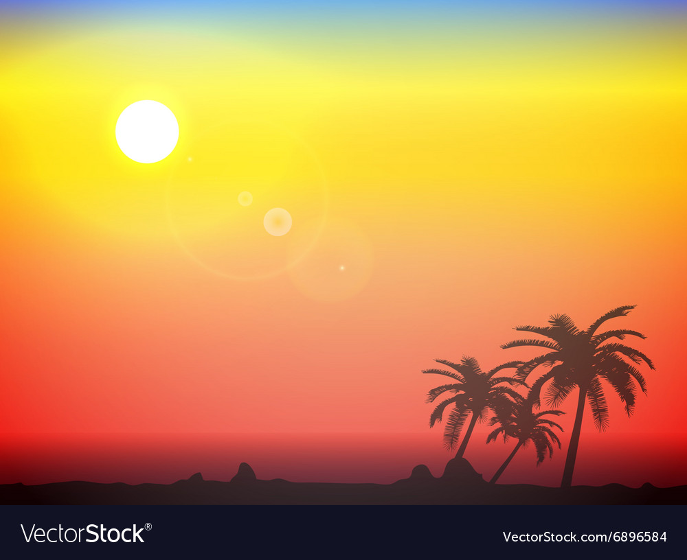 Palm silhouette background