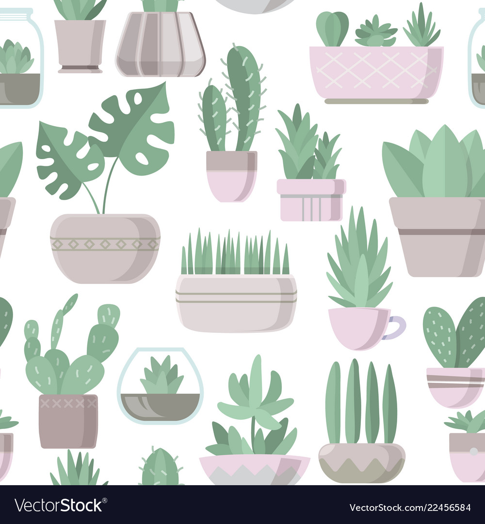 Seamless pattern with cactus and succulent