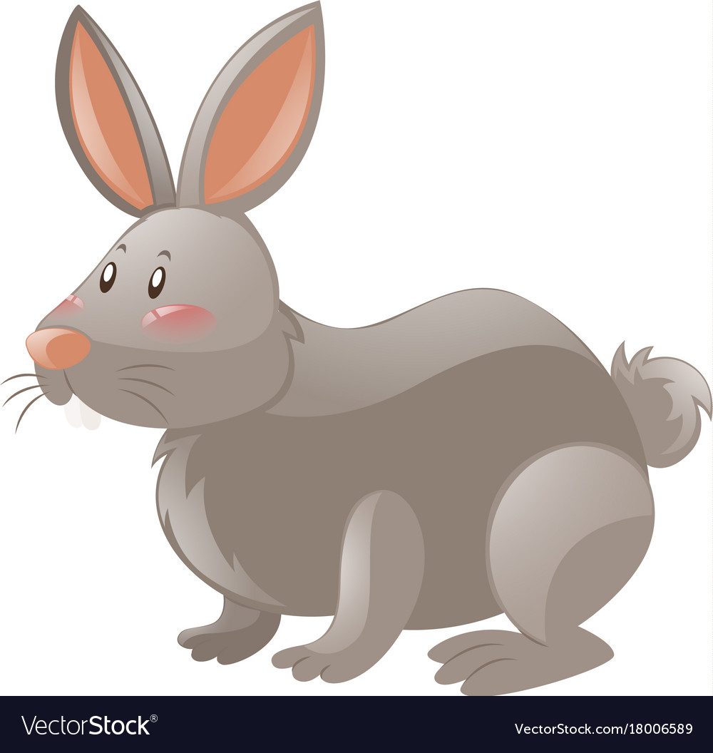 Rabbit with gray fur Royalty Free Vector Image