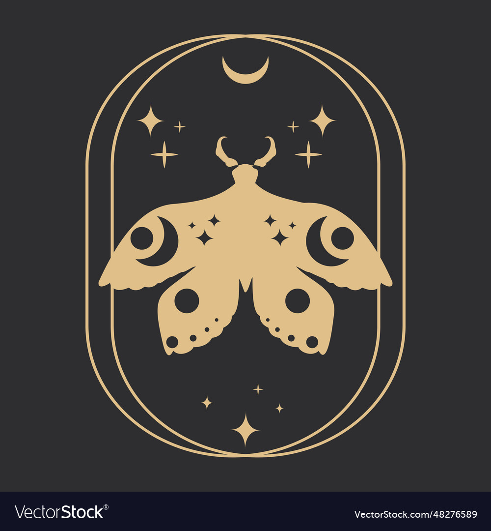 Set golden celestial frames borders arch line vector image Set golden celestial frames borders arch line