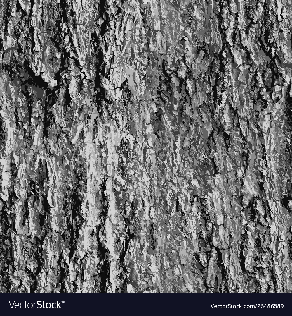 Texture bark shape with seamless background