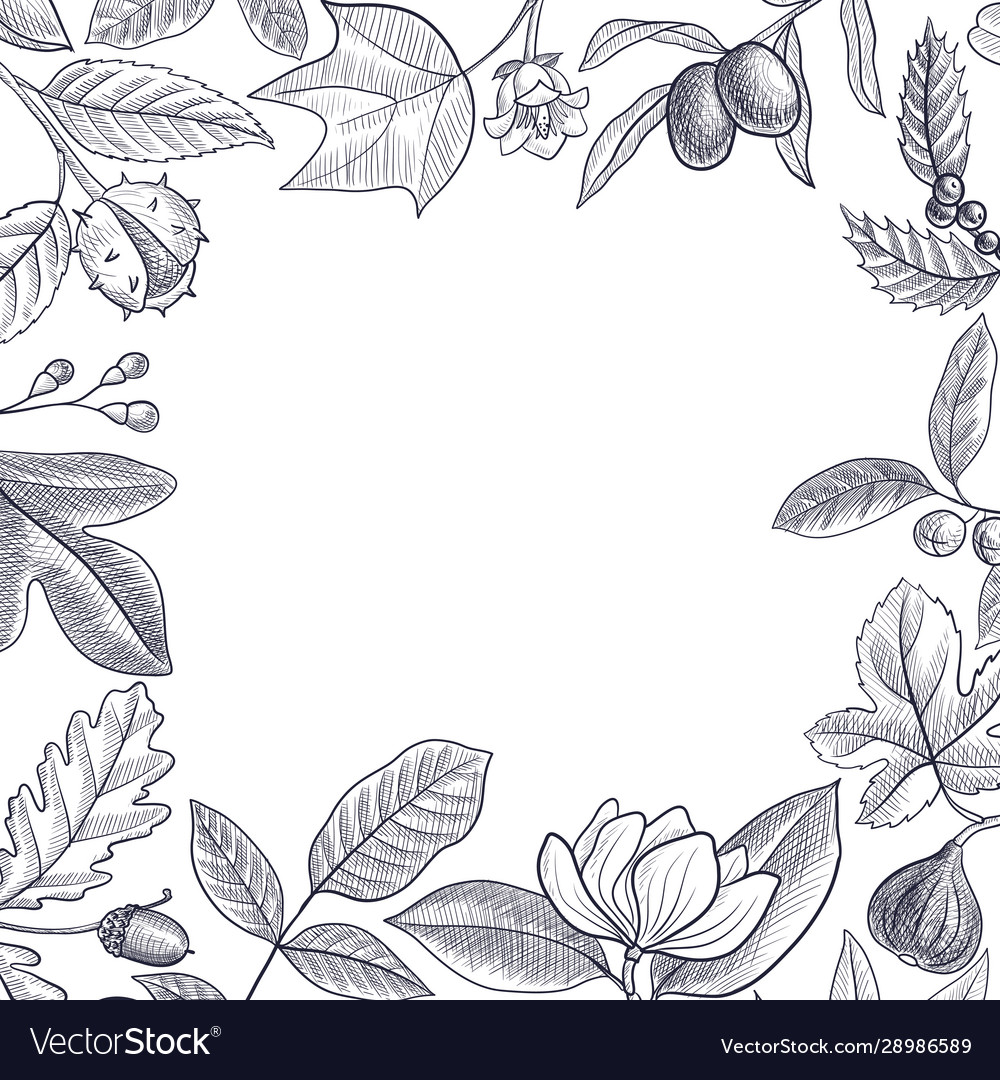 Vintage drawing floral design Royalty Free Vector Image