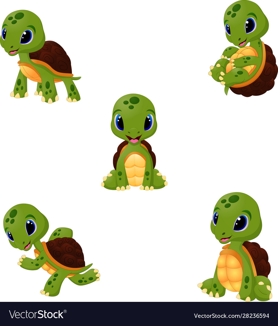 Cartoon baby turtles collection set Royalty Free Vector