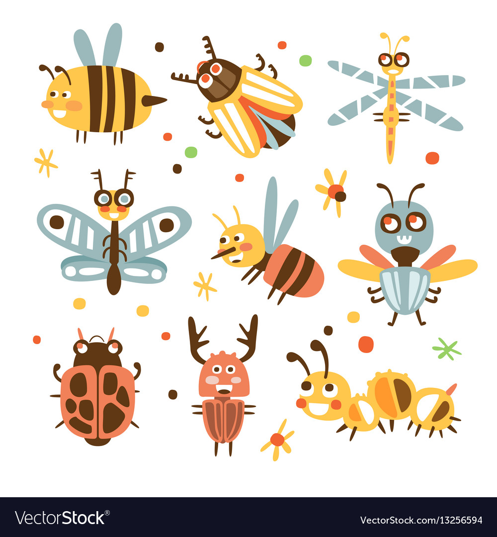 Colorful Bug and Insect Collection