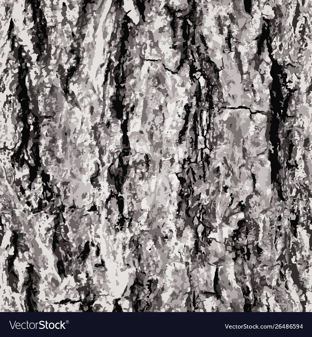 Texture bark shape with seamless background