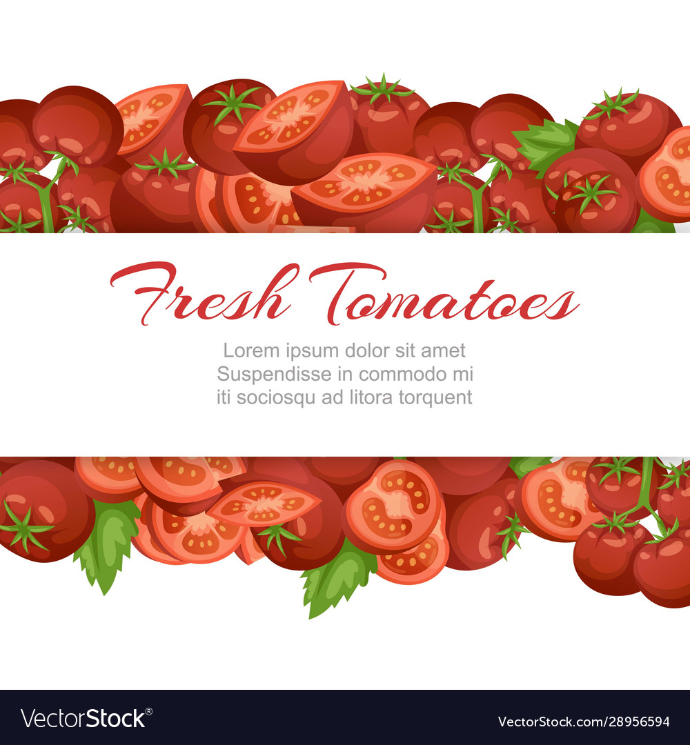 Tomato fresh farm vegetables cartoon