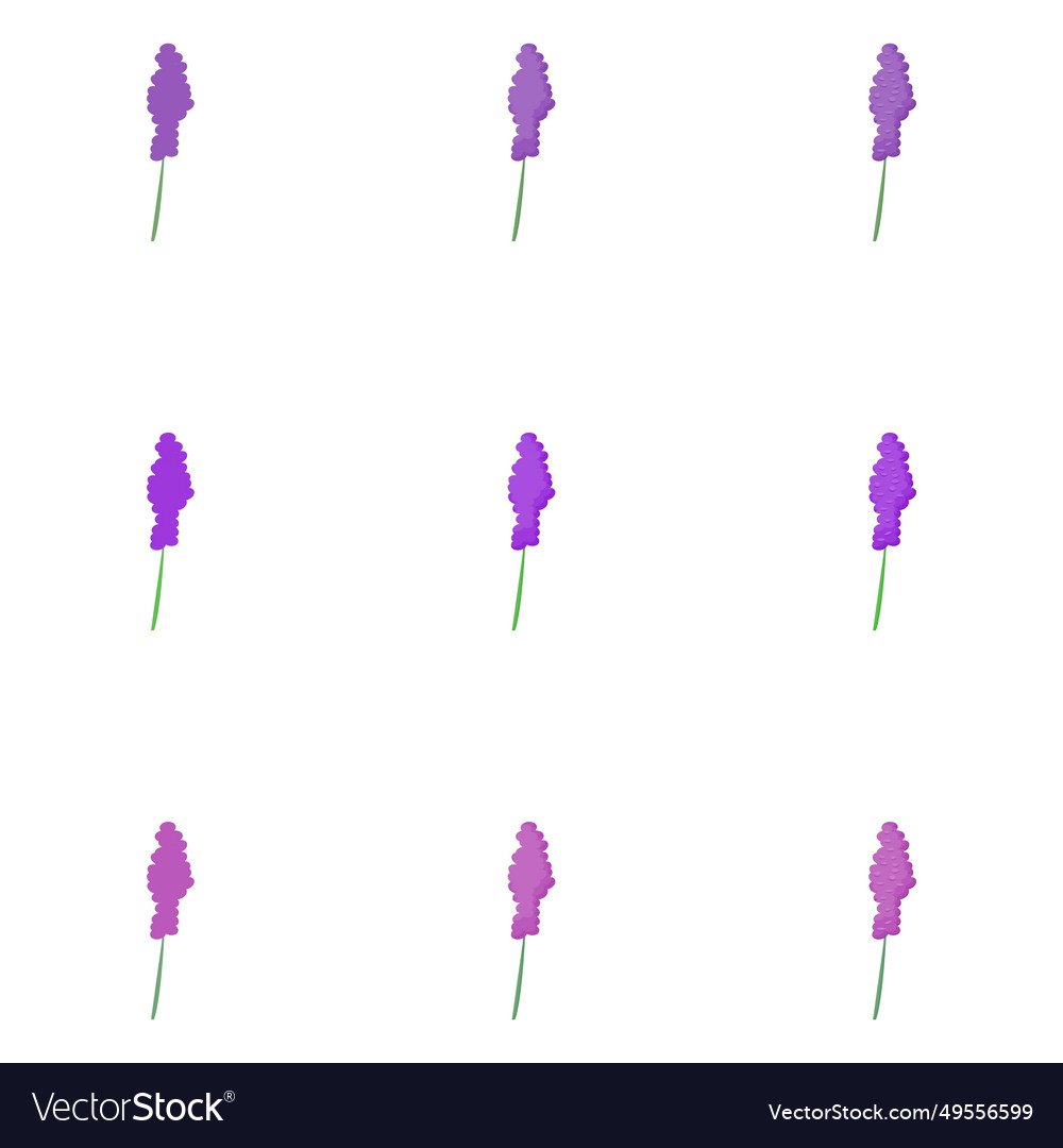 Lavender Royalty Free Vector Image - VectorStock