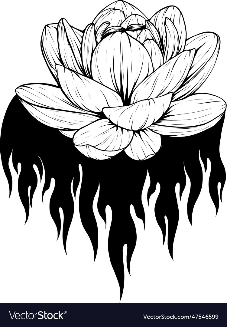 Lotus flower outline design Royalty Free Vector Image