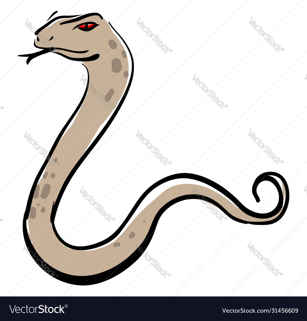 Angry snake on white background