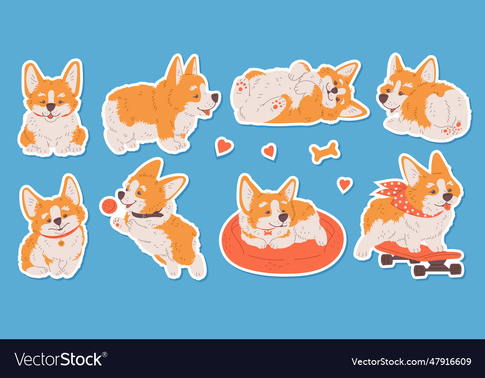 Cartoon corgi puppy dog in various poses enjoy