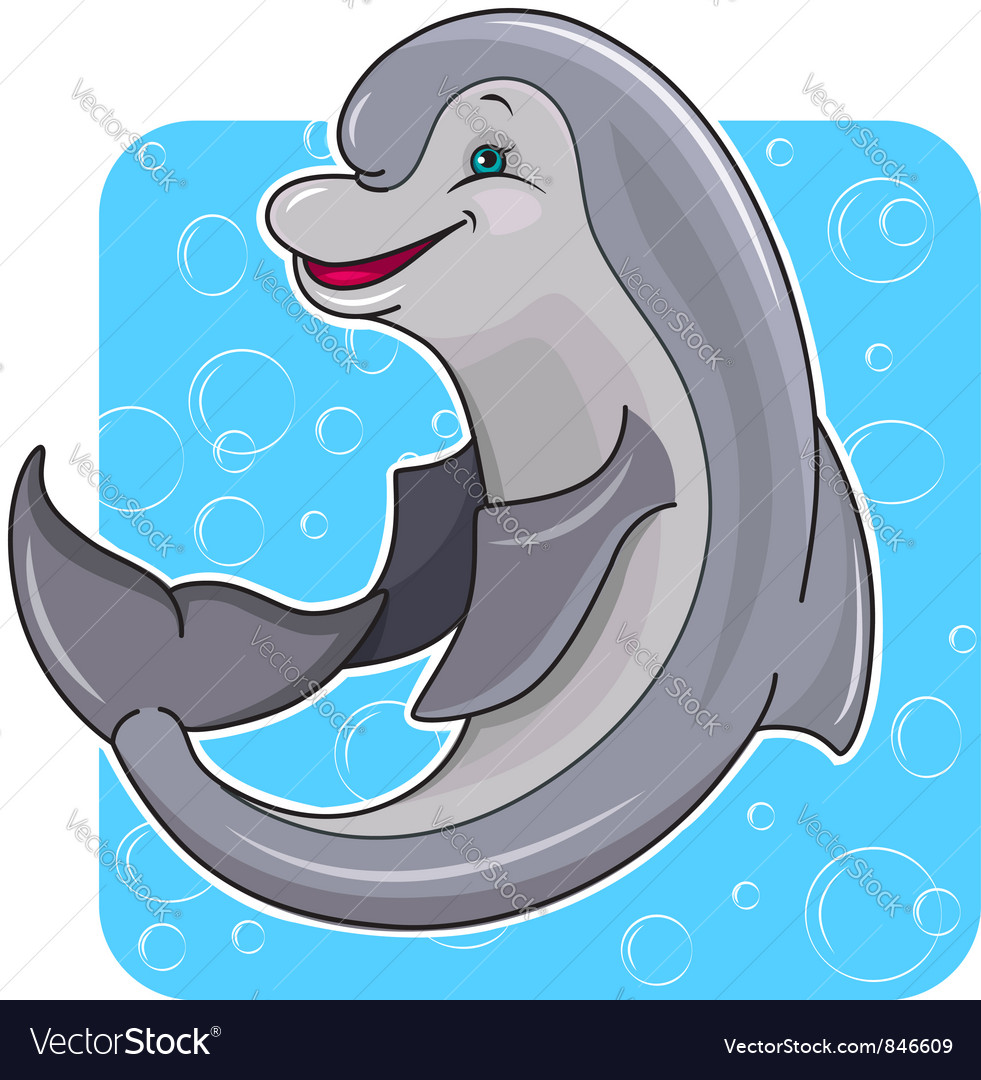 dolphin cartoon