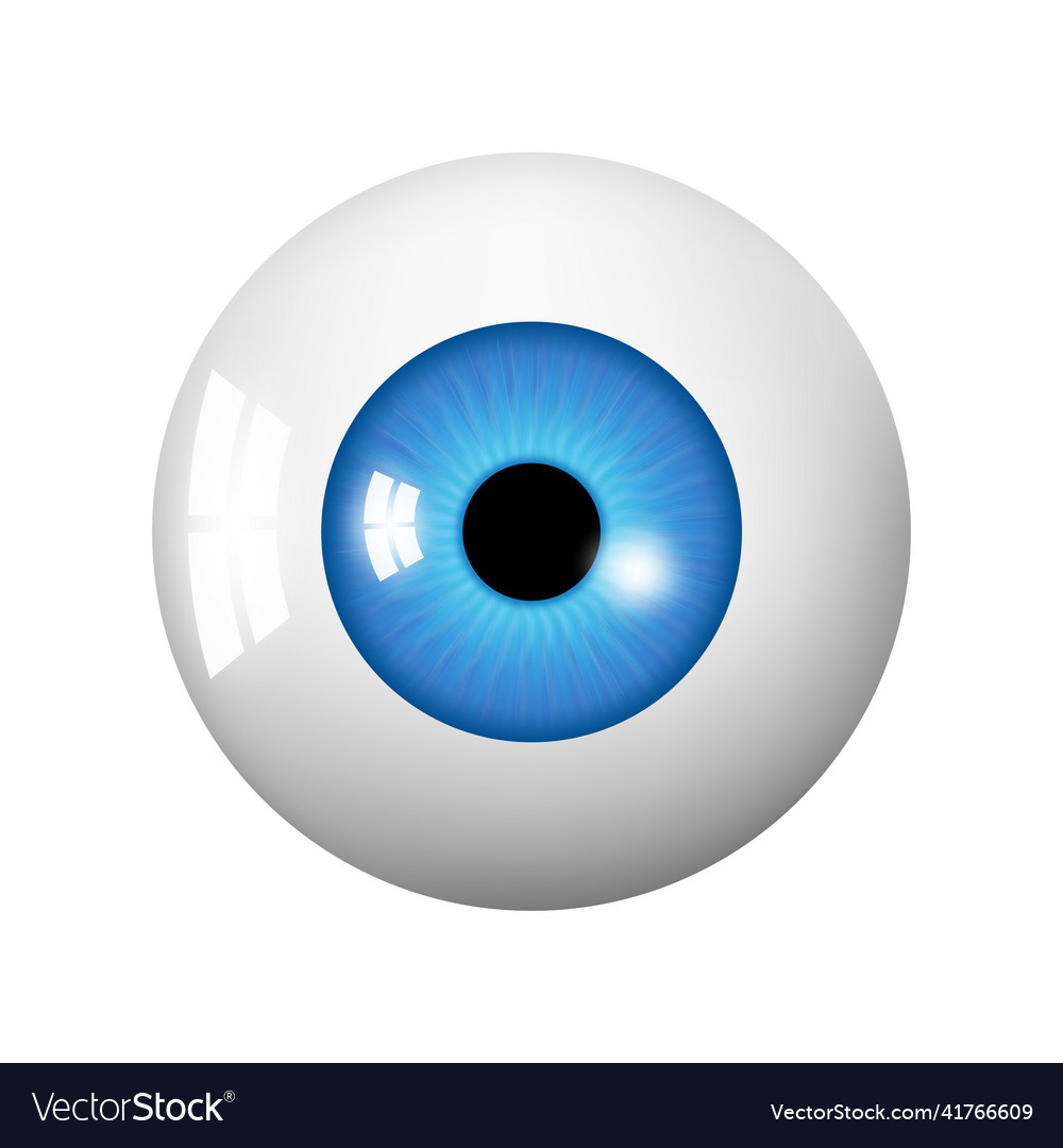 Human eyeball eye with bright blue of ball Vector Image