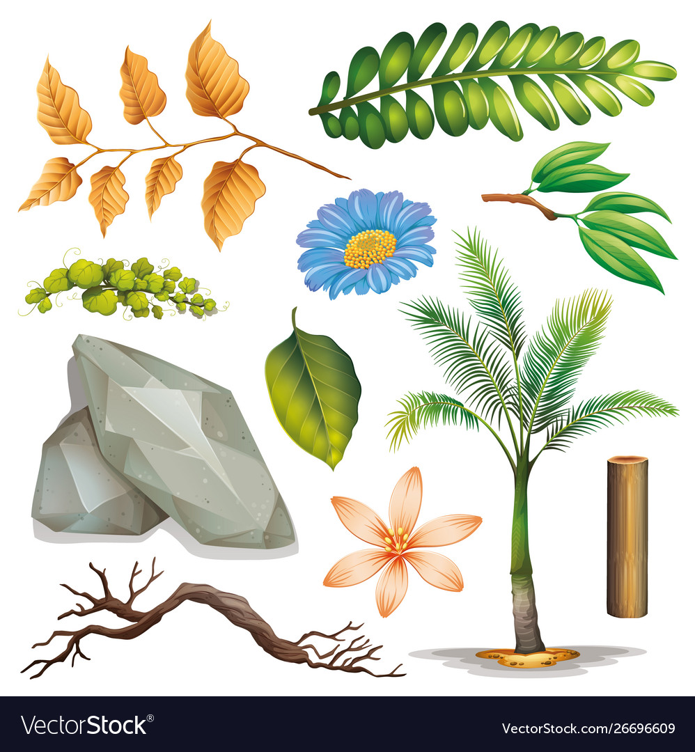 Set isolated objects theme gardening