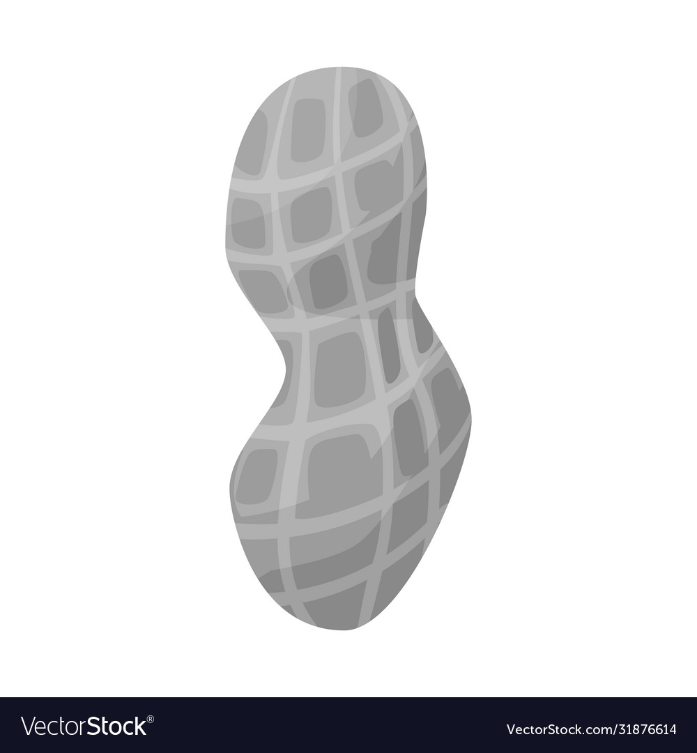 Isolated object peanut and shell logo set