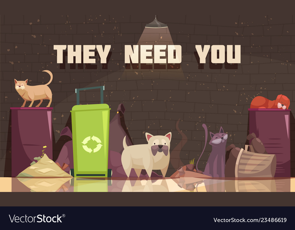 Homeless animals flat poster Royalty Free Vector Image Homeless animals flat poster Royalty Free Vector Image