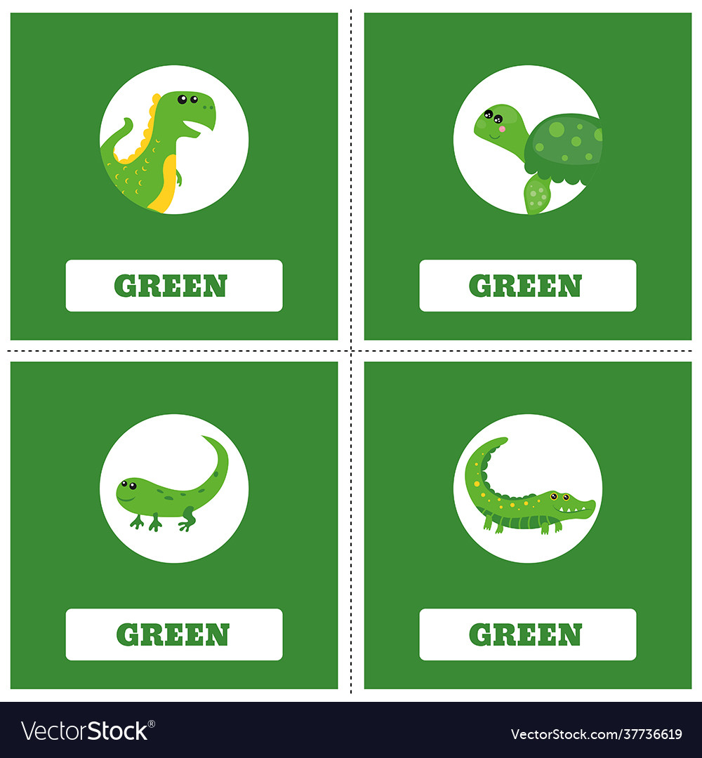 Learn color vector image Learn color