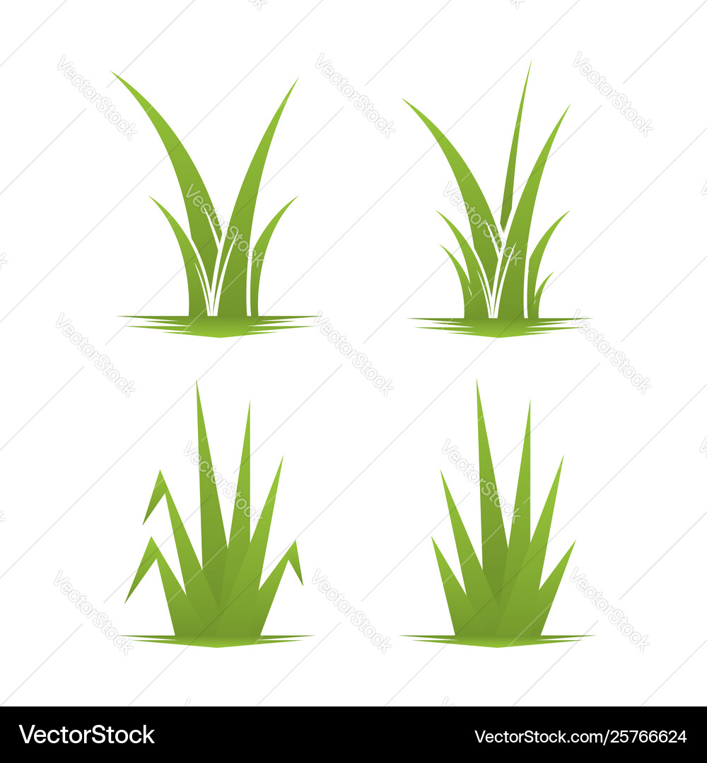 Grass leaf nature leaf design green garden field Vector Image